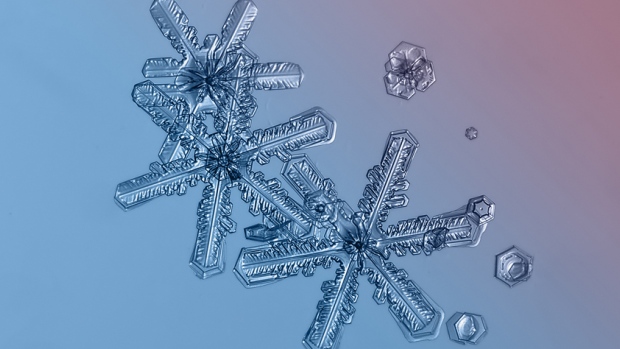Environment Canada issues snowfall warning for Metro Vancouver