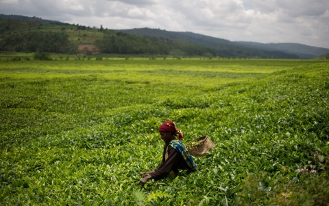 Rwandans vote to decide if Kagame can extend time in power
